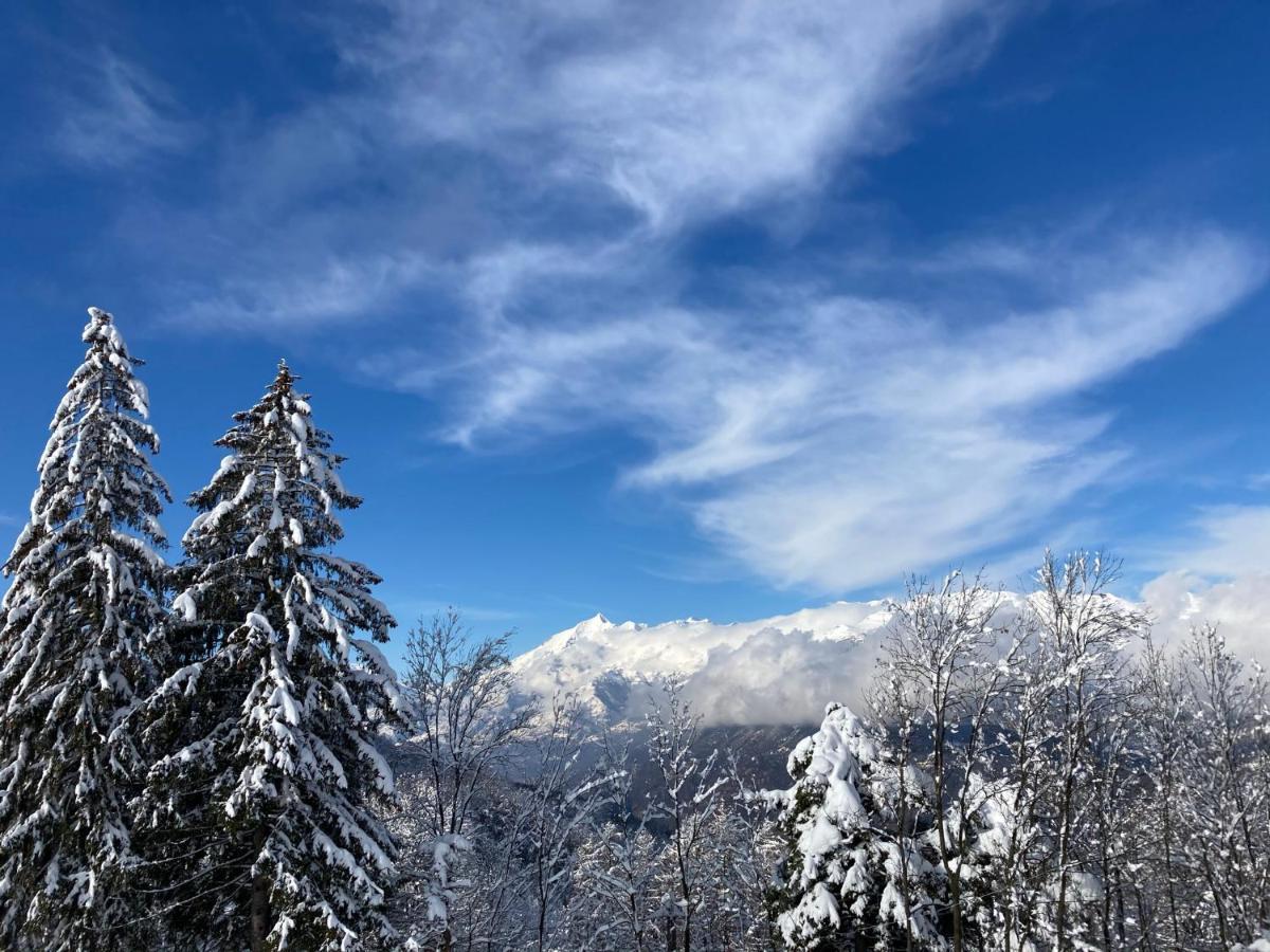 Il Ciapine Bed and Breakfast Giaveno Buitenkant foto